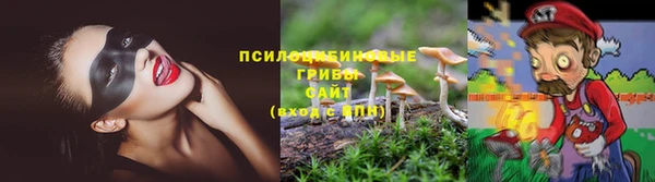 mdpv Алексин