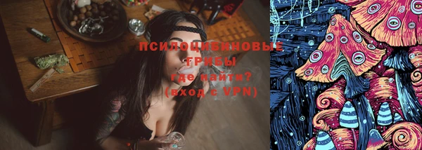 сатива Куйбышев